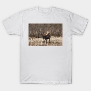 Cheeky Moose - Algonquin Park T-Shirt